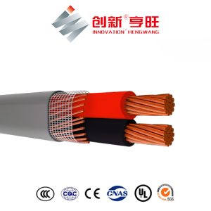Anti-fraud Copper Aluminum - SEU SER - Image 2