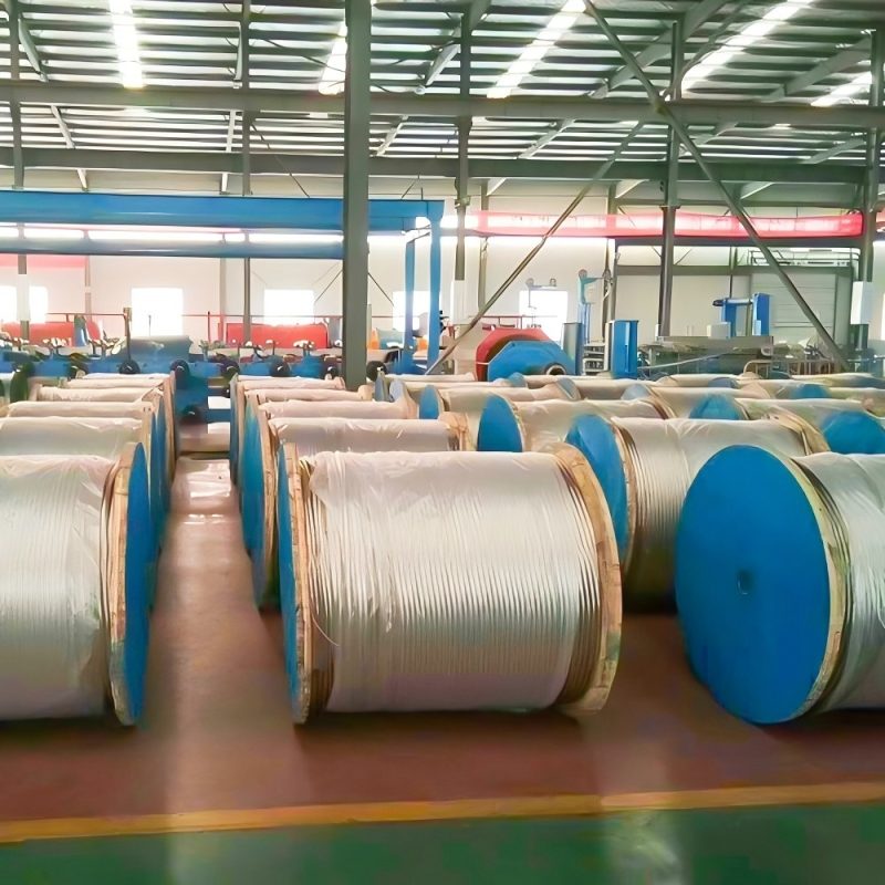 All Aluminum Conductor AAC - Image 5
